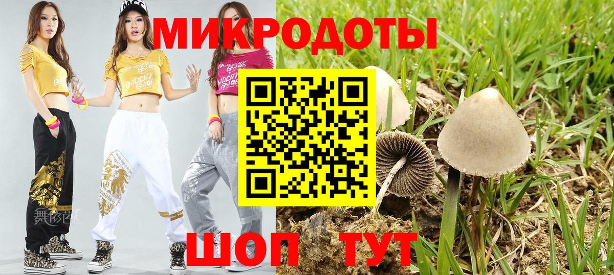 Егорьевск  Псилоцибиновые грибы мицелий  Вход с VPN 